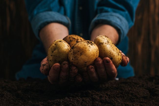 10 Ways to prepare a potato