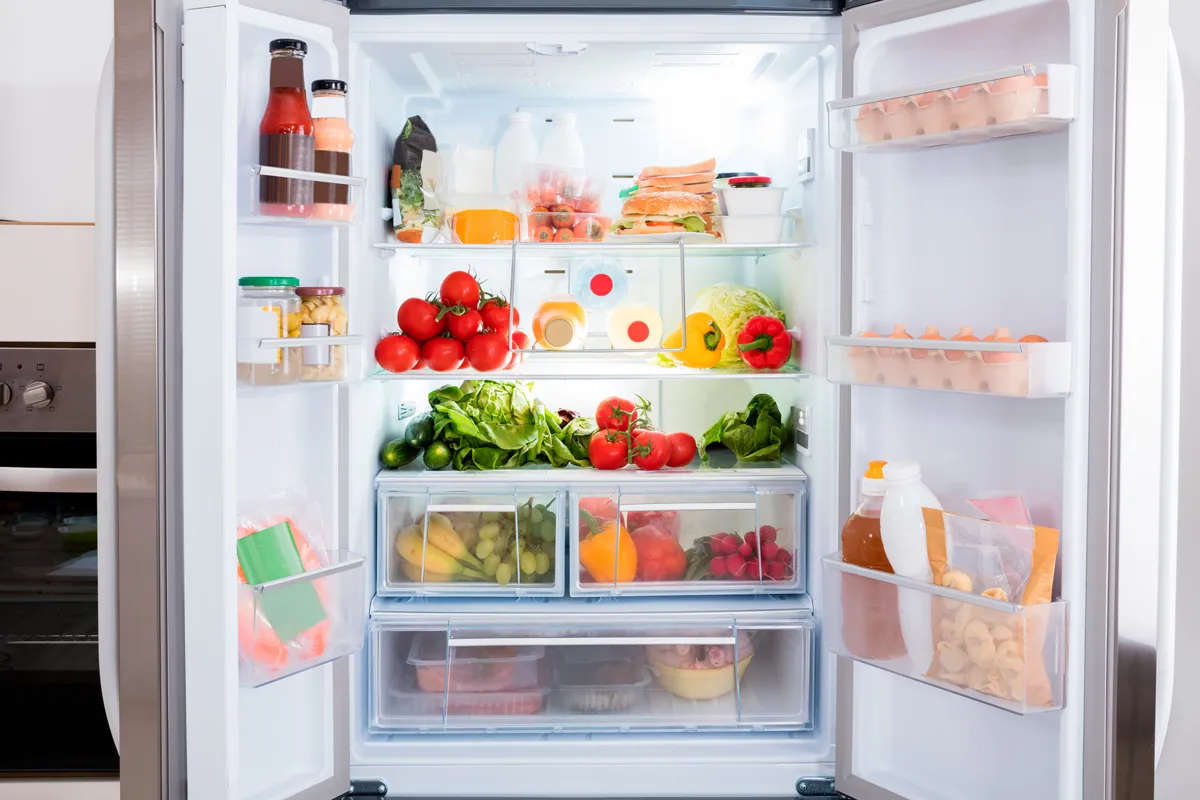 Then-now-refrigerator-2